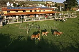 Actualmente disponemos de las siguientes viviendas: Casa Rural Noria Casa Rural En Ciudad Rodrigo Salamanca