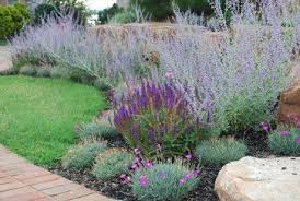 Eclectic Landscape By Jay Sifford Garden Design Drought Tolerant Garden Plants Garden Design