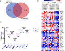 Image result for bioinformatics heatmap