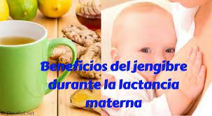 7 Beneficios Del Jengibre Durante La Lactancia Materna Tu Blog De Salud Y Medicina