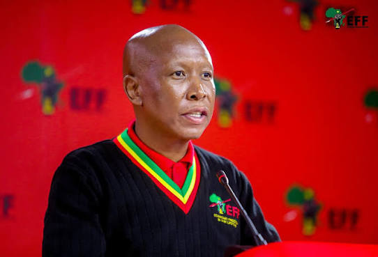 Juliusmalemasello (@julius.malema.sello) • Instagram photos and videos