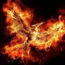 Upon and corrected the mistakes made in the design of the elang. Balitbang Ham Balitbangh Profile Pinterest