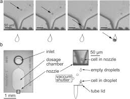 Free online horror indie game based in the scp universe. Single Cell Pcr Of Genomic Dna Enabled By Automated Single Cell Printing For Cell Isolation Sciencedirect