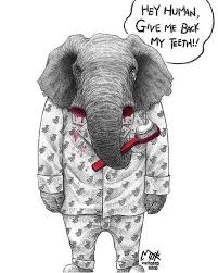 Create a large vertical oval for the mane. Pin De Sunflower En Drawings Other Drawings Derechos De Los Animales Pandas Criatura