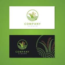 Where everyone can get our png stuff free of cost. Free Padi Vector Art