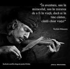 Din acest top 10 citate nichita stanescu, care ți se pare cel. 99 Nichita Stanescu Ideas Poezii PoeÈ›i Citate Frumoase