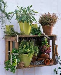 A Year In The Garden Pflanzideen Rustikaler Garten Pflanzen