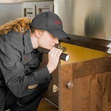 Management makes poor decisions, not supportive at all, no better than any other crappy pest control provider. Ehrlich Pest Control State College State College Pa
