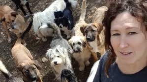 Fundraiser by Sam Condon : Help get Homeward Bound safe