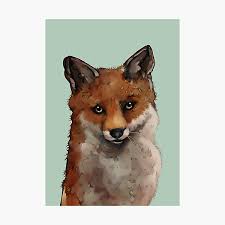 Bad Taxidermy Fox Photographic Prints for Sale