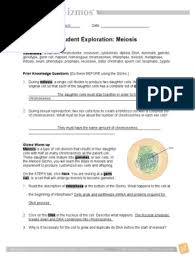 Answer key to daffynition decoder. Hw 2 Docx Meiosis Mitosis