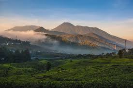 Gunung Gede Pangrango Tutup Sebulan Antisipasi Cuaca Ekstrem Halaman All Kompas Com