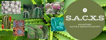 Facebook is showing information to help you better understand the purpose of a page. Sacxs San Antonio Cactus And Xerophyte Society Home Facebook