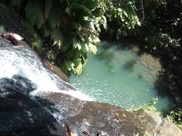 Cascade Bis Waterfall Green Ecotourism Visitguadeloupe Guadeloupeislands Ecotourism Bonaire National Parks