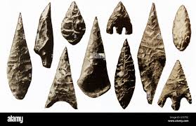 Image result for Kotschya capitulifera