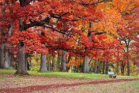 Although the end of summer sales don't get as much attention as holiday sa. 12 Top Rated Things To Do In Naperville Illinois Planetware