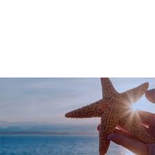 Kurnia travel supreme plan a. Kurnia Travel Supreme Kurnia Insurance