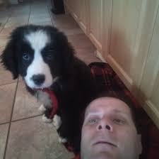 J.A. ROBY woodcooker 🔥🔥