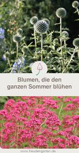 Die 8 Schonsten Dauerbluher Fur Den Garten Flowers Perennials Herb Garden Design Perennials