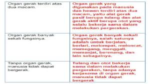 Check spelling or type a new query. Kembangkan Ide Ide Pokok Berikut Menjadi Sebuah Paragraf Tribun Padang