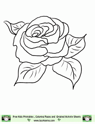 Coloringonly has got big collection of printable rose coloring sheet for free to download, print and color in your free time. Free Printable Pictures Of Roses Coloring Home
