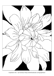 You can find here 2 free printable coloring pages of beautiful flowers. Large Printable Flower Coloring Pages Novocom Top
