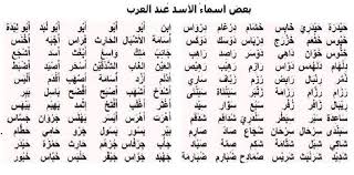 أسماء الأسد في اللغة العربية