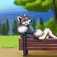Wolf Furry transparent background PNG cliparts free download | HiClipart