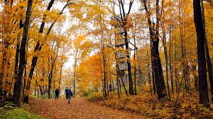 Check spelling or type a new query. Wisconsin Fall Color Guide Travel Wisconsin