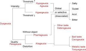 Image result for Taste Dysfunction