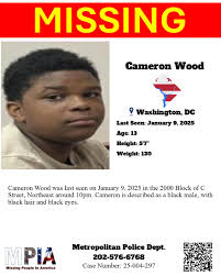 Cameron Wood was last seen