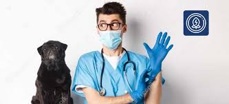 Colegio médico veterinario de la provincia de córdoba ¡seguinos! Yeigwz9ajlbqhm