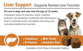 We did not find results for: Amazon Com Vet Classics Liver Support For Dogs Cats Glutathione Milk Thistle B Vitamins Dandelion Root Support Stregthen Liver Functions 120 Soft Chews Pet Supplies