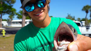 We did not find results for: Spanish Mackerel Fish Taco S With Best Homemade Salsa Youtube