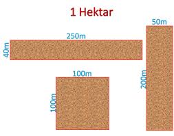 You are currently converting area units from hectare to square meter. Pop Nekoristno Posojilodajalec Meter Hektar Audacieuxmagazine Com