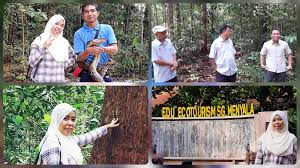 Laman rasmi jabatan perhutanan negeri selangor. Pembukaan Taman Eko Rimba Dan Hutan Taman Negeri Di Negeri Sembilan Qisstiera