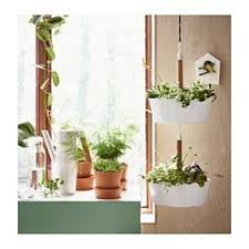 Bittergurka Hanging Planter White Ikea Hanging Plants Fun Planters Hanging Plants Indoor