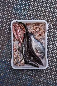 various fresh fish and shrimps on ice in a tray on a metal background with copy space seafood store concept top view by yar seafood store fresh fish the unit