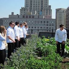 College Of Culinary Arts Johnson Wales University Johnson Wales University Student Tours College Search