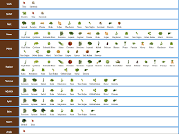 Bir ağaç başka bir yere nasıl taşınır ve dikilir. Zirai Mevsim Icin 12 Fikir Bitki Sebze Bahceciligi Sebze Yetistirme