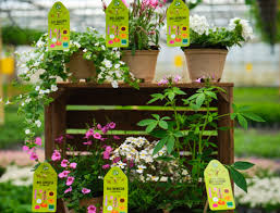 Blumen bestellen und bequem nach hause liefern lassen. Blumenkiste Hamburg Lieferservice Blumen Nach Hause Liefern Lassen Hof Eggers Bio Bauernhof In Kirchwerder Bei Hamburg