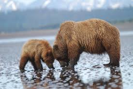 Happy Mother's Day! Image: A...