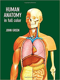 Bones in the wrist (eight in each for a total of 16) ( tip: Amazon Com Human Anatomy In Full Color Dover Children S Science Books 9780486290652 Green John Books