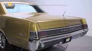 Image result for Tiger Gold 1965 GTO