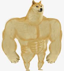 Doge roblox png is a totally free png image with transparent background and its resolution is 420x420. Doge Png Swole Doge Transparent Png 4994419 Png Images On Pngarea