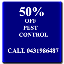 We specialise in getting your bond returned. Bond Cleaning Services Brisbane Gold Coast Five Star Cleaning