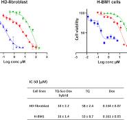 Thymoquinone chemically conjugated to doxorubicin: antitumor ...