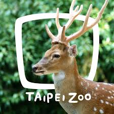 鳩 鳥 雨 動物 野生動物 羽毛 羽. Taipei Zoo è‡ºåŒ—å¸‚ç«‹å‹•ç‰©åœ' 7 408 Fotos 21 285 Bewertungen Zoo æ–‡å±±å€æ–°å…‰è·¯äºŒæ®µ30è™Ÿ Taipeh Republik China 11656