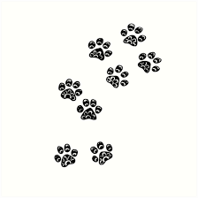 Canine paw study/angles/tutorial by tiff. Image Result For Dog Paw Print Drawing Paw Print Drawing Dog Paw Print Paw Print Tattoo
