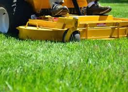 Lawn.com.au lets you organise a lawn care provider based on the services you need and your. D D Lawn Care Services Royal Oak Birmingham Troy Mi Area